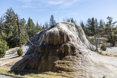 Mammoth Yellowstone NP 2024